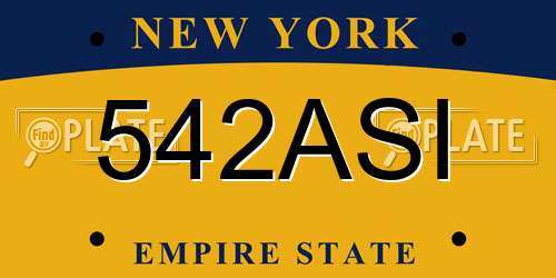 542ASI New York License Plate