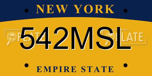 542MSL New York License Plate