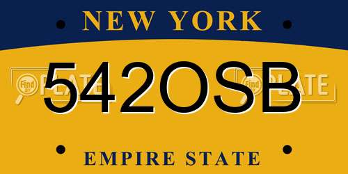 542OSB New York License Plate