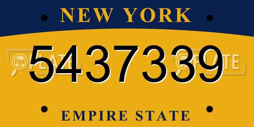 5437339 New York License Plate