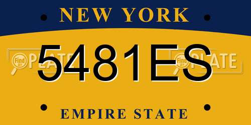 5481ES New York License Plate