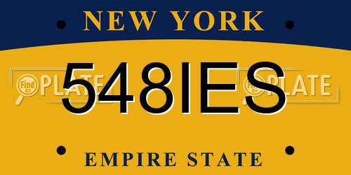 548IES New York License Plate
