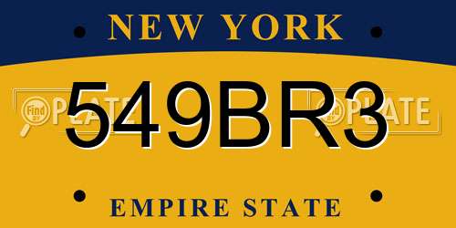549BR3 New York License Plate