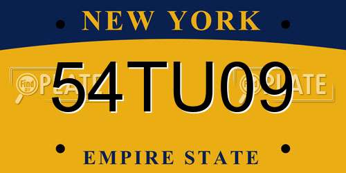 54TU09 New York License Plate