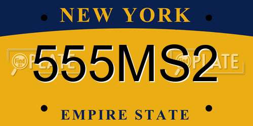 555MS2 New York License Plate