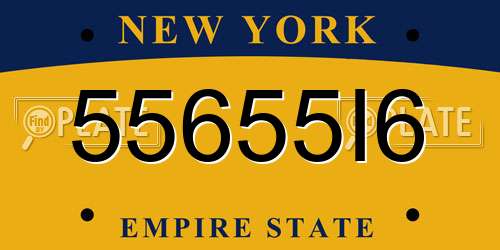 55655I6 New York License Plate
