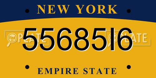 55685I6 New York License Plate