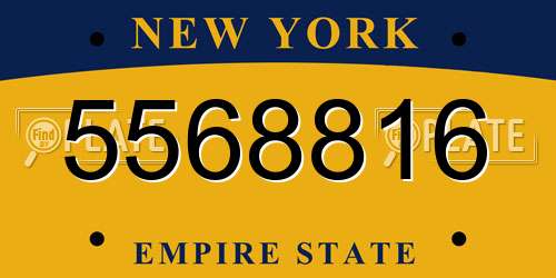 5568816 New York License Plate