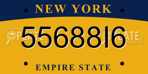55688I6 New York License Plate