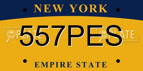 557PES New York License Plate