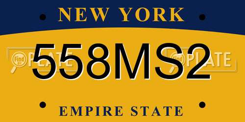 558MS2 New York License Plate