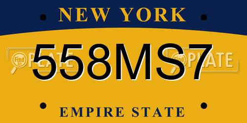 558MS7 New York License Plate