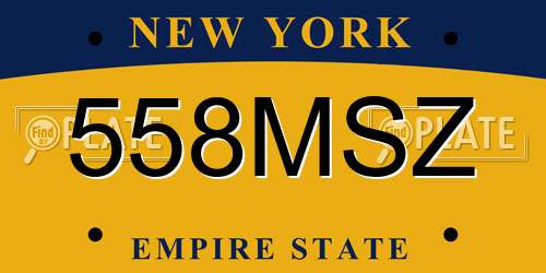 558MSZ New York License Plate