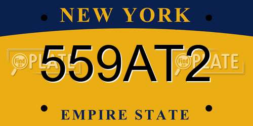 559AT2 New York License Plate