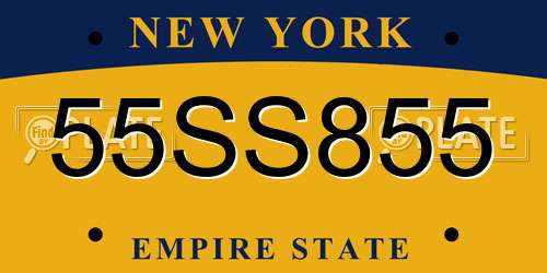 55SS855 New York License Plate