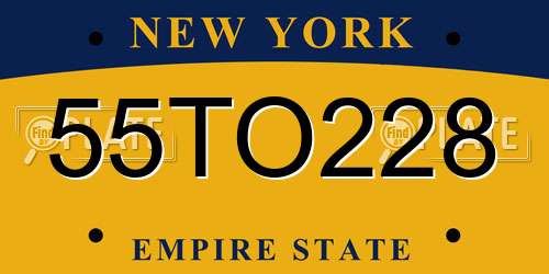 55TO228 New York License Plate