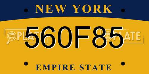 560F85 New York License Plate