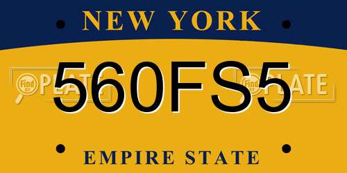 560FS5 New York License Plate