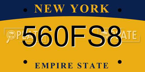 560FS8 New York License Plate