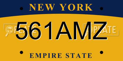 561AMZ New York License Plate