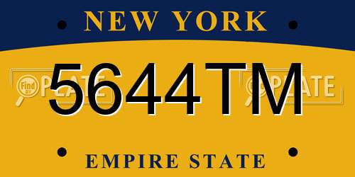 5644TM New York License Plate