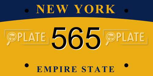 565 New York License Plate