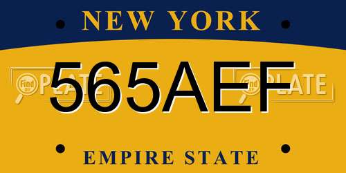 565AEF New York License Plate