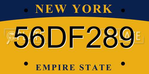 56DF289 New York License Plate