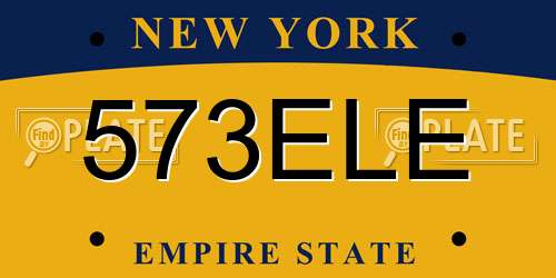 573ELE New York License Plate