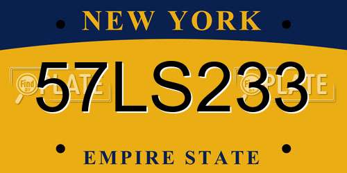 57LS233 New York License Plate