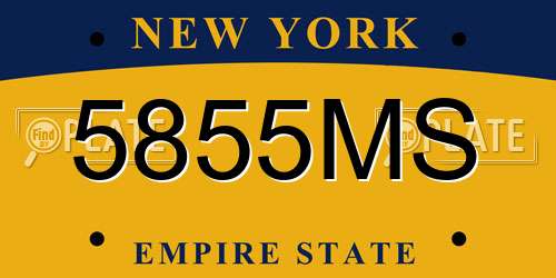 5855MS New York License Plate