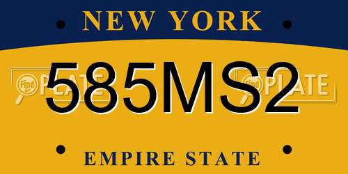 585MS2 New York License Plate