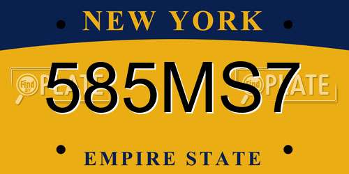 585MS7 New York License Plate