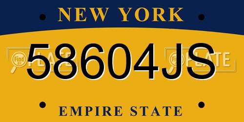 58604JS New York License Plate