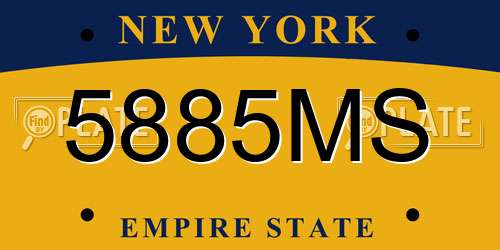 5885MS New York License Plate