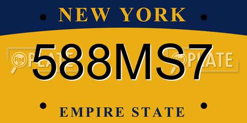 588MS7 New York License Plate