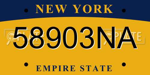 58903NA New York License Plate