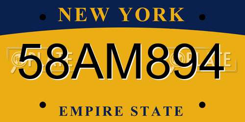 58AM894 New York License Plate