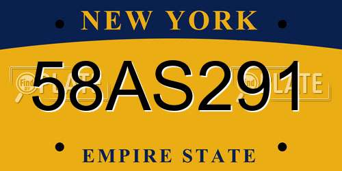 58AS291 New York License Plate