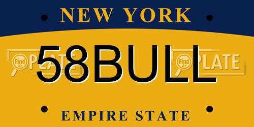 58BULL New York License Plate