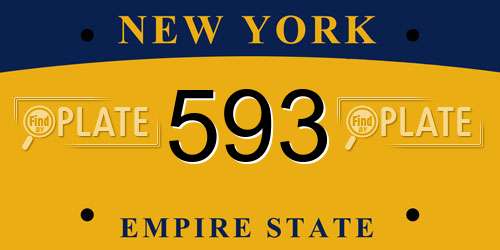593 New York License Plate