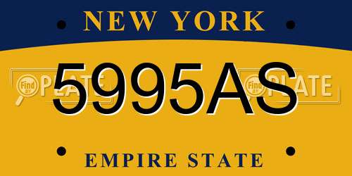 5995AS New York License Plate