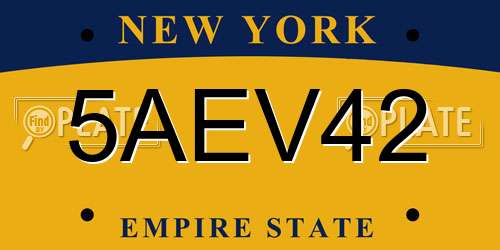 5AEV42 New York License Plate