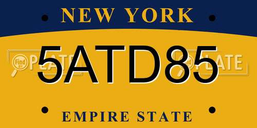 5ATD85 New York License Plate