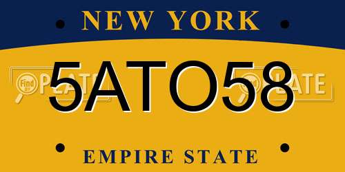5ATO58 New York License Plate