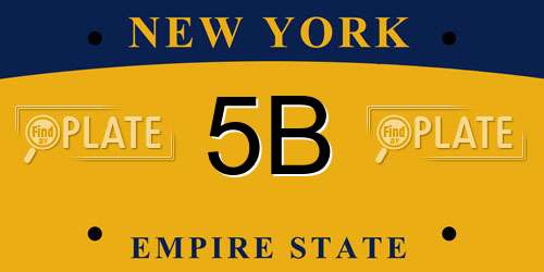 5B New York License Plate