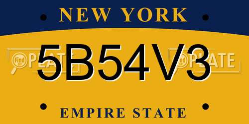 5B54V3 New York License Plate