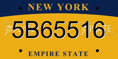 5B65516 New York License Plate