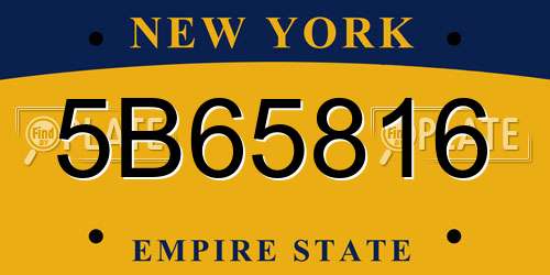 5B65816 New York License Plate