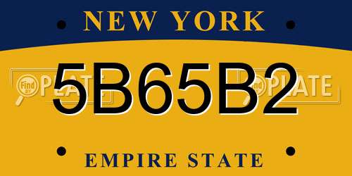 5B65B2 New York License Plate